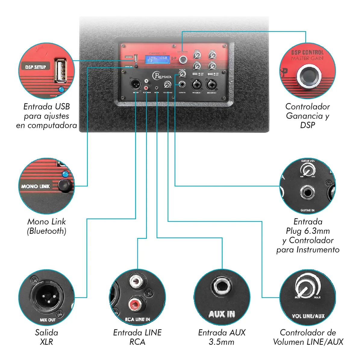 Altoparlante Premiata 12" in Linea CARUSO-121 - Image 6