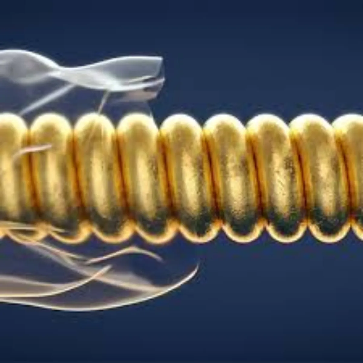 Encordadura Elixir 14077 para Bajo de 4 Cuerdas Nickel Plated Steel - Image 7