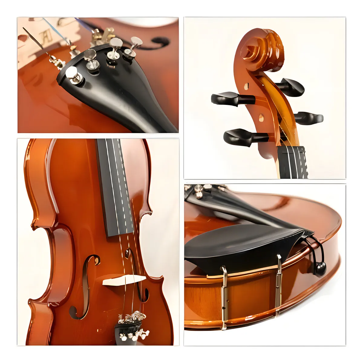Violín Amadeus Cellini 4/4 Brillante Solid con Ébano y Estuche MV012E - Image 3