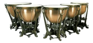 Timpani de Orquesta Extreme EXTI005 High Grade 32" Parche Remo