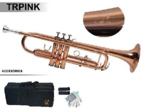 Trompeta Fanpro TRPINK Tono Bb Latón Laca Dorada