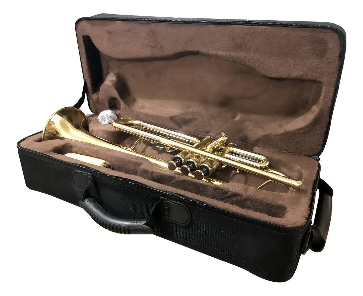 Trompeta Fanpro TR127LQ Tono Bb Cuerpo Latón - Image 5