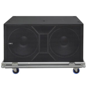 Subwoofer Audiocenter SW218 con Estuche