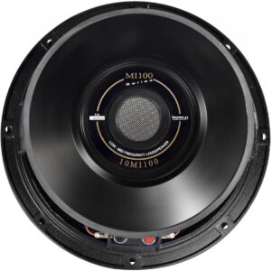 Bocina Profesional Beyma 10” 10MI100
