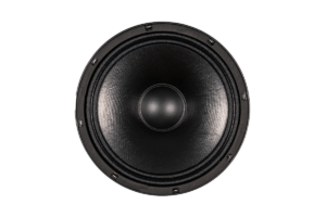 Bocina Profesional Beyma 10” 10WR300