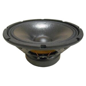 Bocina Profesional Beyma 10” 10WRS300