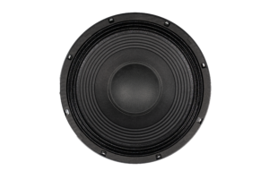 Bocina Profesional Beyma 12” 12P80/FE V2