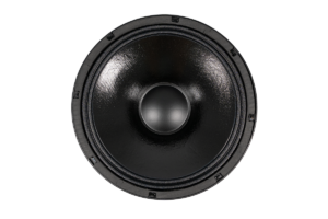 Bocina Profesional Beyma 12” 12WR400