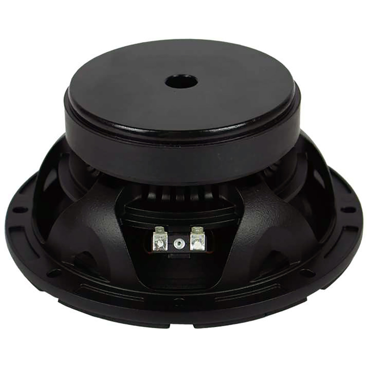 Bocina Profesional Beyma 8” 8WR300