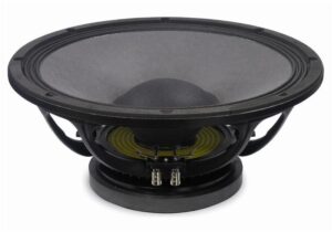 Bocina Profesional Eighteen Sound 15” 15W750