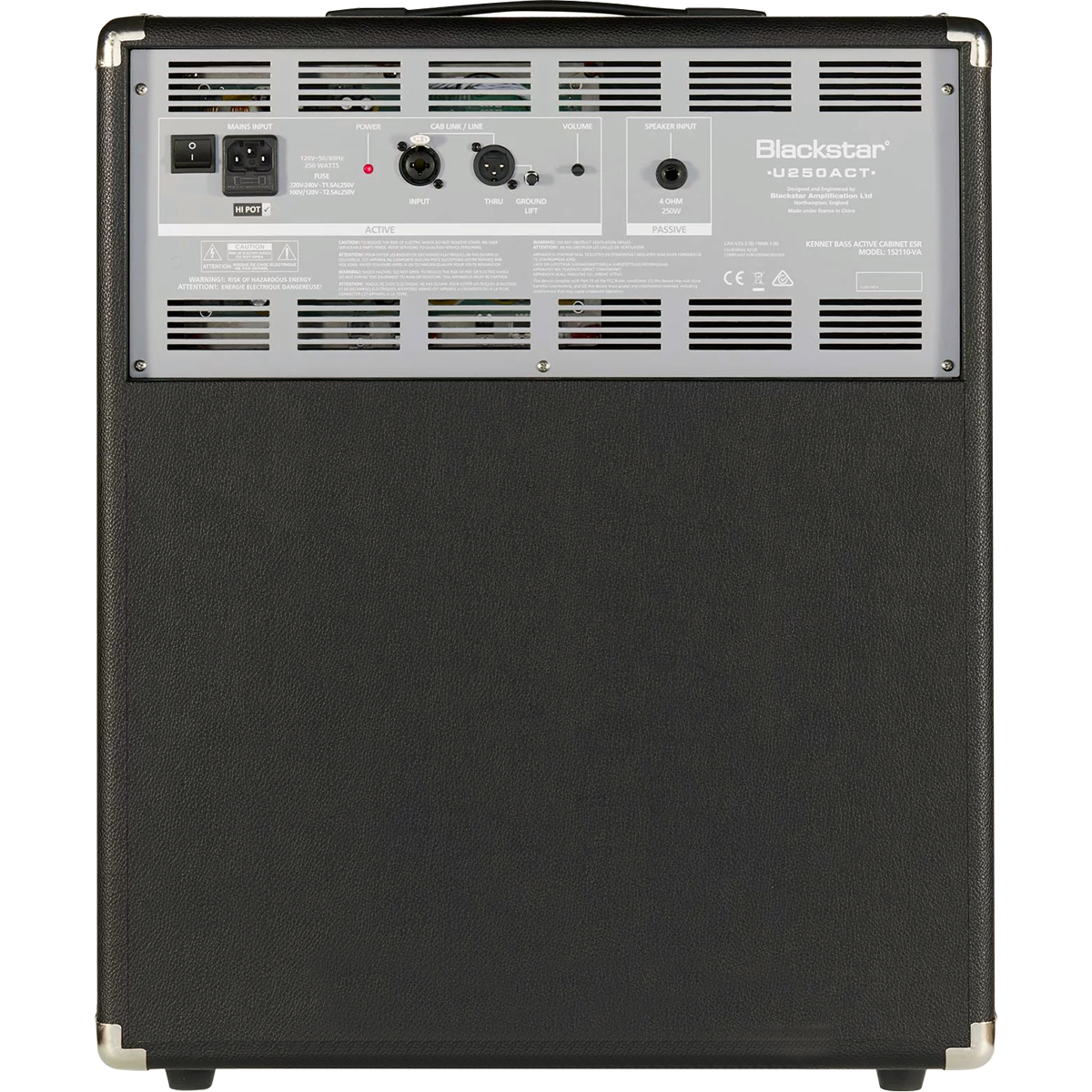 Bafle Blackstar para Bajo Unity 250C - Image 3