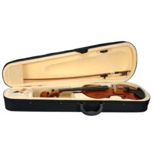 Violin Benjamin Adams Mod. VN75