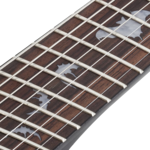 Guitarra Eléctrica Schecter Damien-7 MS