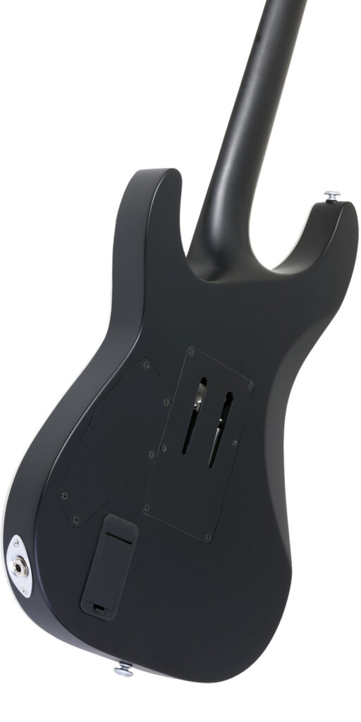 Guitarra Eléctrica Schecter Damien Platinum-6 FR