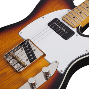 Guitarra Eléctrica Schecter PT Special