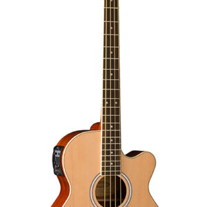 Bajo Electroacústico de 4 Cuerdas Washburn Mod. AB5K con Funda