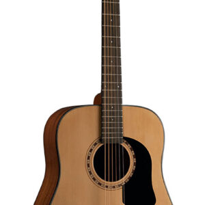 Guitarra Acústica Washburn Texana AD5
