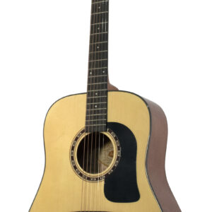 Guitarra Acústica Washburn Texana AD5K con Estuche