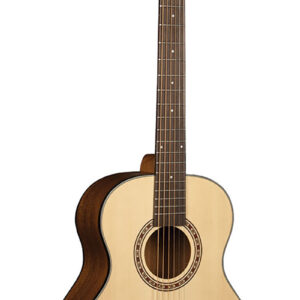 Guitarra Acústica Washburn AGM5K con Funda