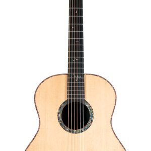 Guitarra Acústica Washburn BTS24S