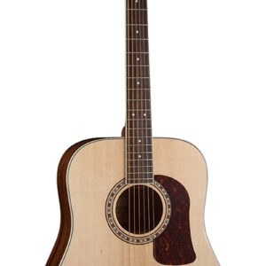 Guitarra Acústica Washburn Texana D10S