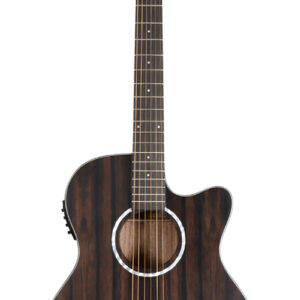 Guitarra Electroacústica Washburn Ebony ACE