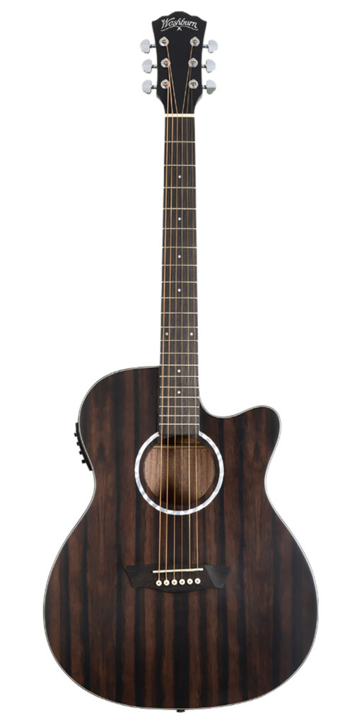 Guitarra Electroacústica Washburn Ebony ACE