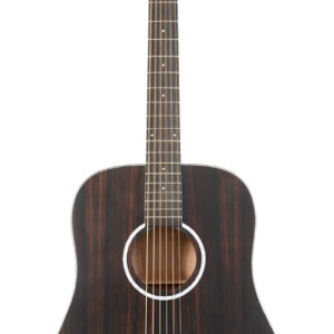 Guitarra Acústica Washburn Ebony D
