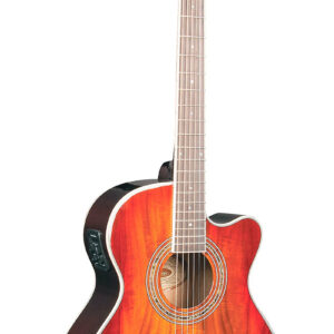 Guitarra Electroacústica Washburn EA55G