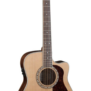 Guitarra Electroacústica Washburn F11SCE