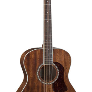 Guitarra Acústica Washburn Texana G12S