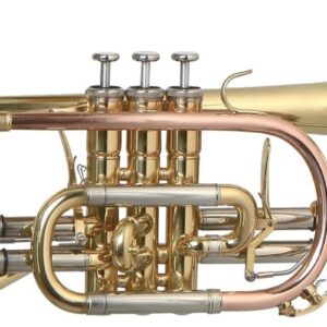 Corneta Roy Benson CR-302 trompeta profesional con estuche