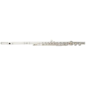 Flauta Transversal Roy Benson FL-402E