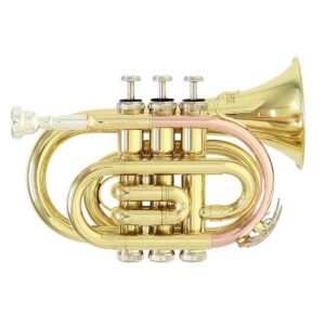 Trompeta Roy Benson C/estuche PT-101