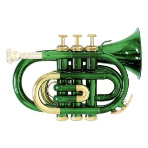 Trompeta Roy Benson C/estuche PT-101E