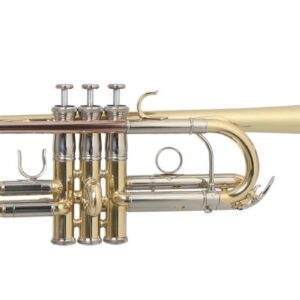 Trompeta Roy Benson C/estuche TR-402C