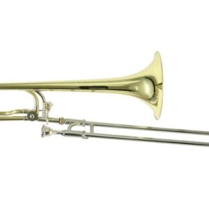 Trombon Roy Benson C/estuche TT-227F