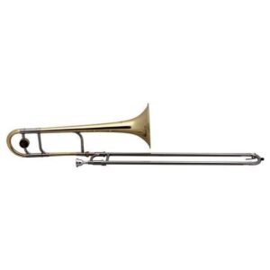 Trombon Roy Benson C/estuche TT-236