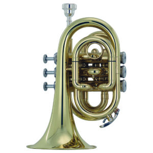 Trompeta Wesner C/estuche Mod. PTP2000-L