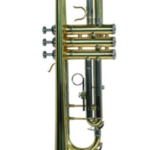 Trompeta Wesner C/estuche PTR1000C-G