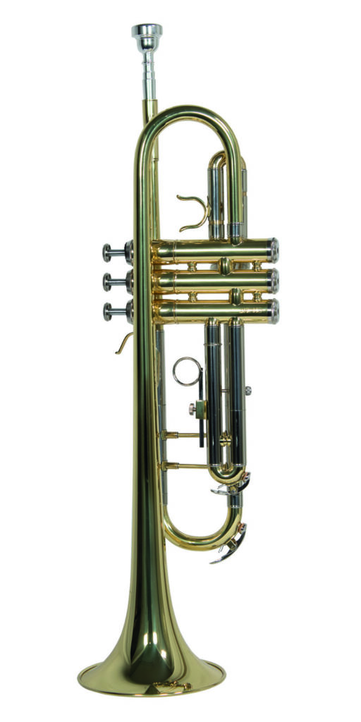 Trompeta Wesner C/estuche PTR1000C-G