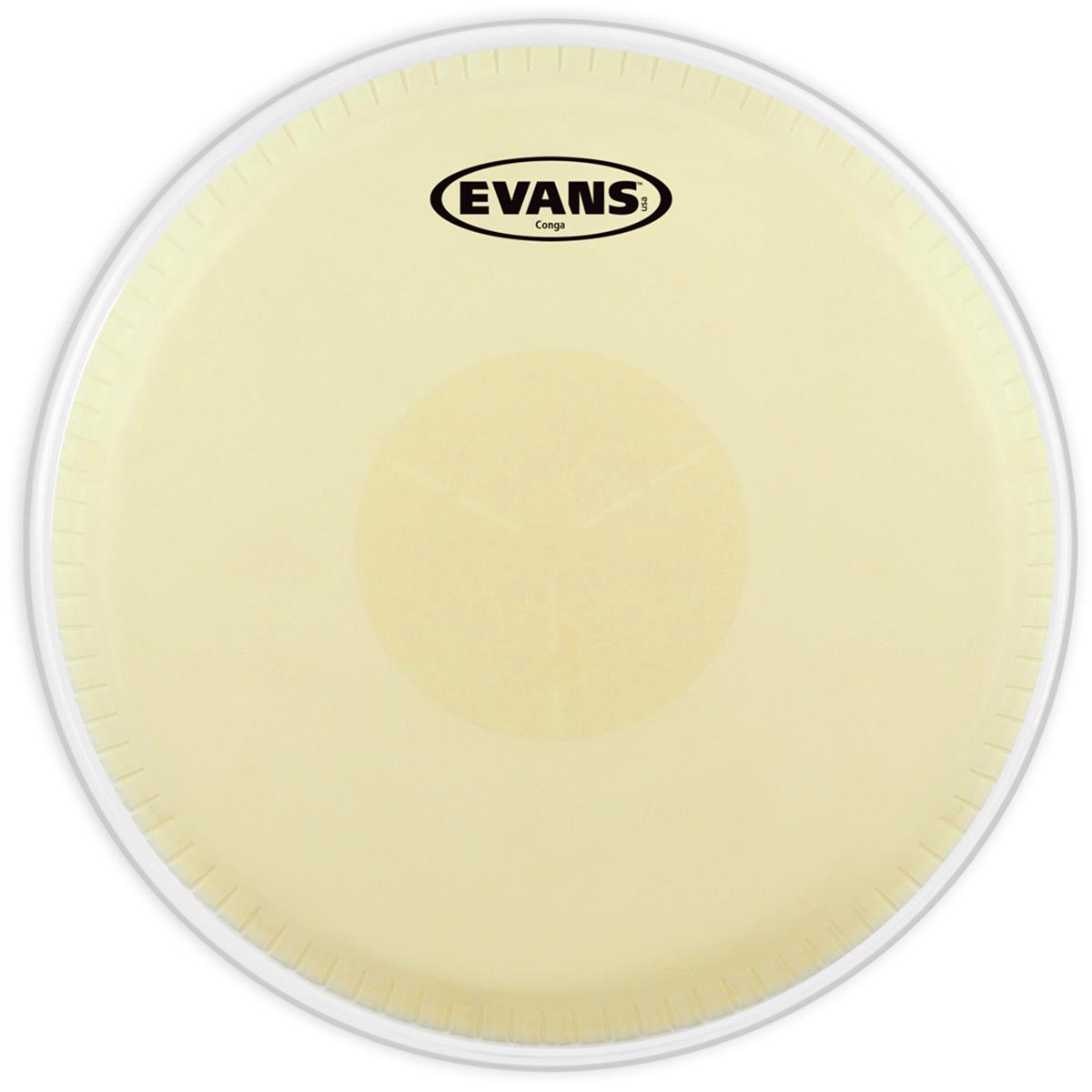 Parche Evans para Conga Mod. EC1175