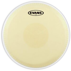 Parche Evans para Conga Mod. EC1175E