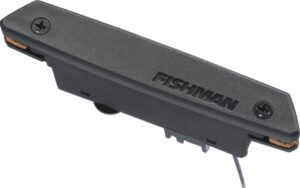 Pastilla Fishman PRO-NEO-D01