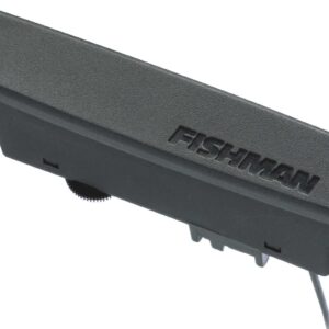 Pastilla Fishman PRO-NEO-D02