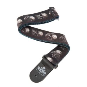 Tahali Planet Wave para Guit 50AL01