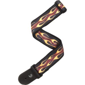 Tahali Planet Wave para Guit 50F09