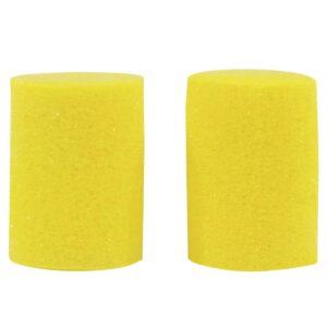 Protector diapasón Planet Waves