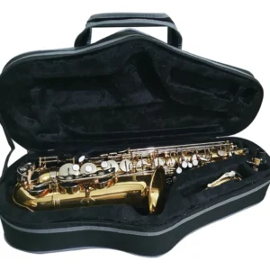 Saxofón Alto Century Eb Combinado CNSX007 Estudiante Intermedio