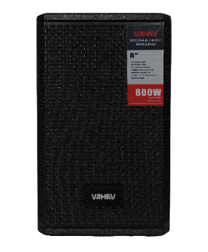 Fuente Puntual de 8" con DSP configurable Vamav LX108